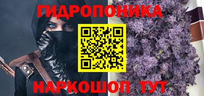индика Краснокаменск
