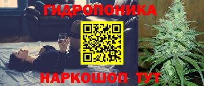индика Краснокаменск
