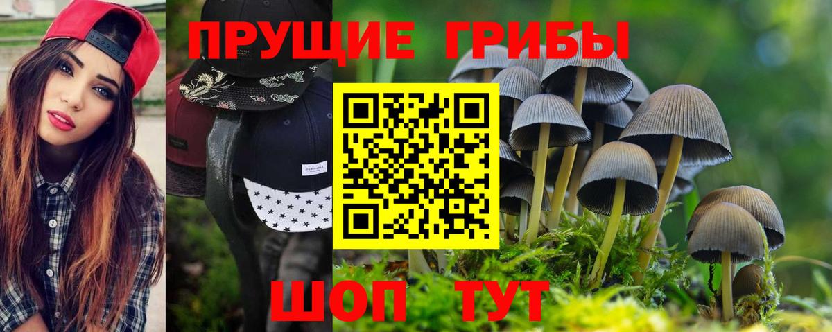 Галлюциногенные грибы Psilocybine cubensis  купить наркоту  Галлюциногенные грибы мицелий  Ярцево  Вход с VPN 